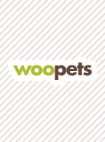 Photo : chien de race Chien d’élan suédois sur Woopets