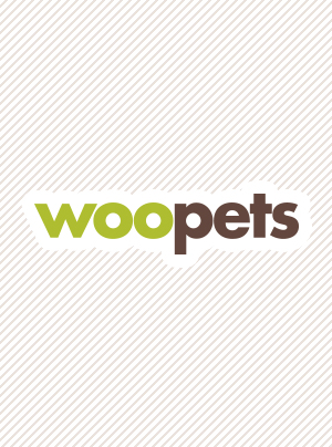 Photo : chien de race Petit Chien Courant Suisse sur Woopets