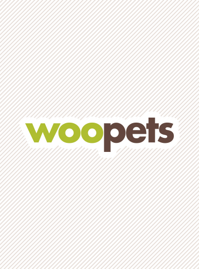 Photo : chien de race Epagneul Tibétain sur Woopets