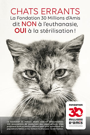 Stérilisation des chats errants - Fondation 30 Millions d'Amis