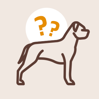 Pour Faire Le Bon Choix Comparer Vos Races De Chiens