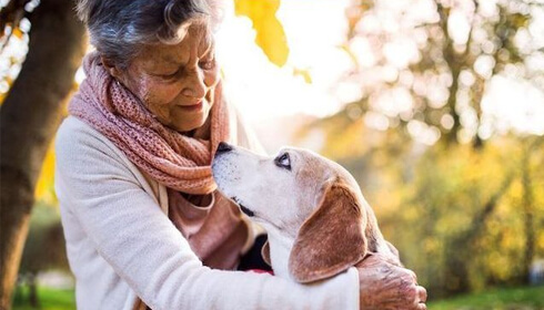 68 % des Français favorables à une loi permettant d’être inhumé avec son animal de compagnie