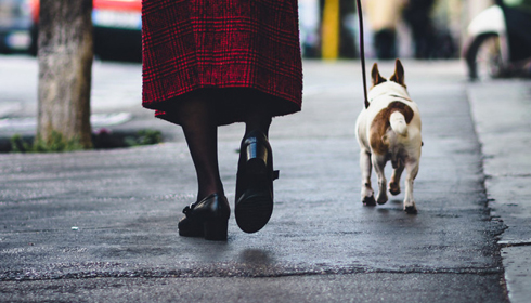 Votre animal de compagnie vous ressemble-t-il?
