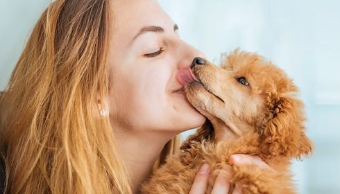 Quelle hygiène ont les Français avec leur chien ou chat ?