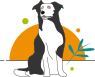 Illustration d'un chien de race Border Collie