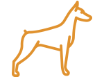 Bien Choisir La Race De Son Chien Notre Test