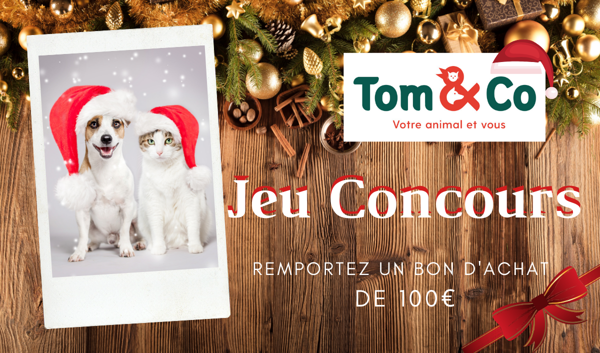 Jeu concours Tom & Co du 28 novembre au 11 décembre 2019