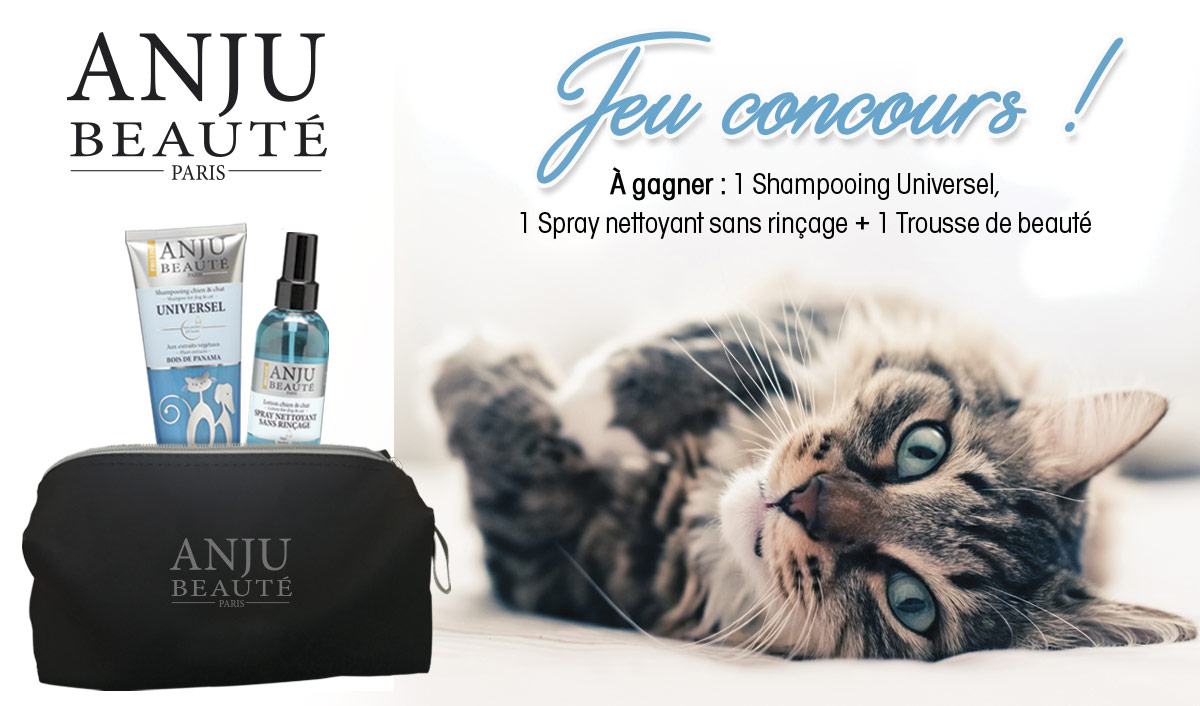 Jeu concours Anju Beauté du 03 au 16 février 2020