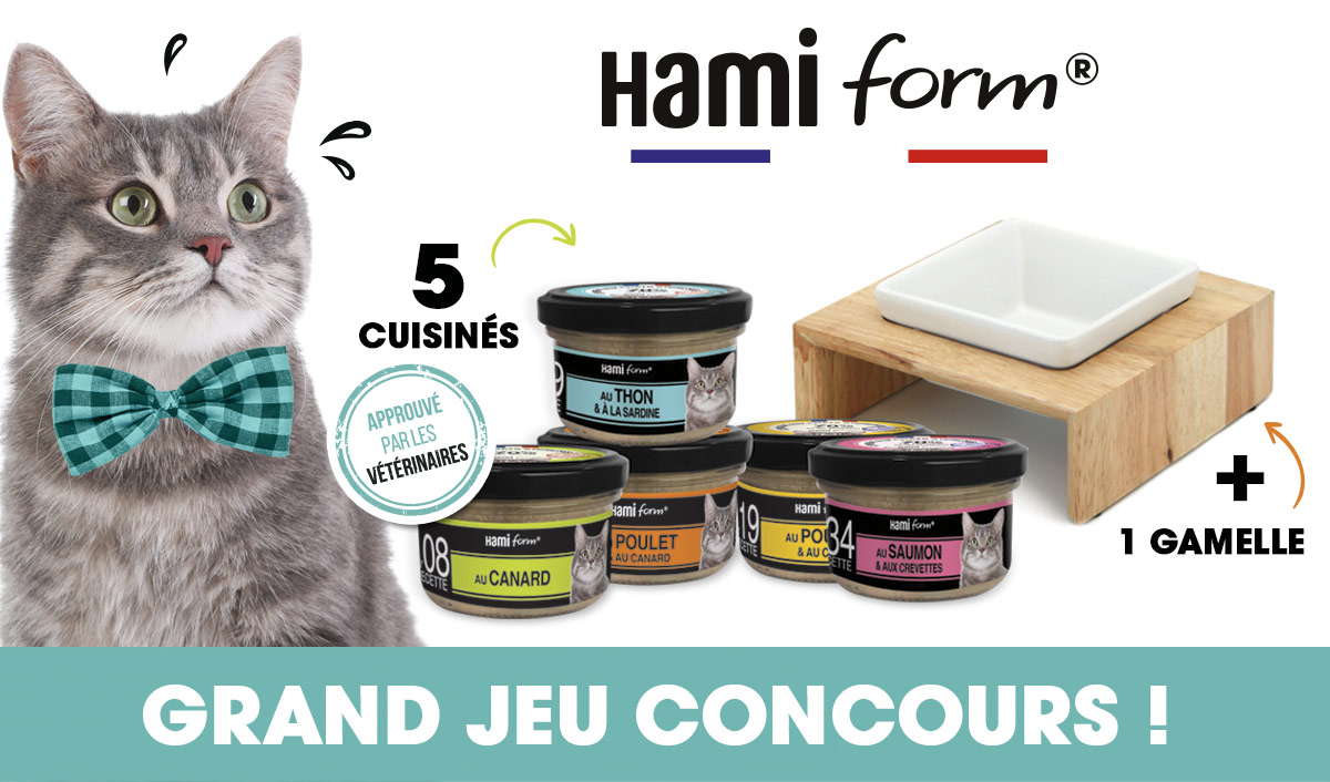 Jeu concours Hamiform du 20 janvier au 02 février 2020