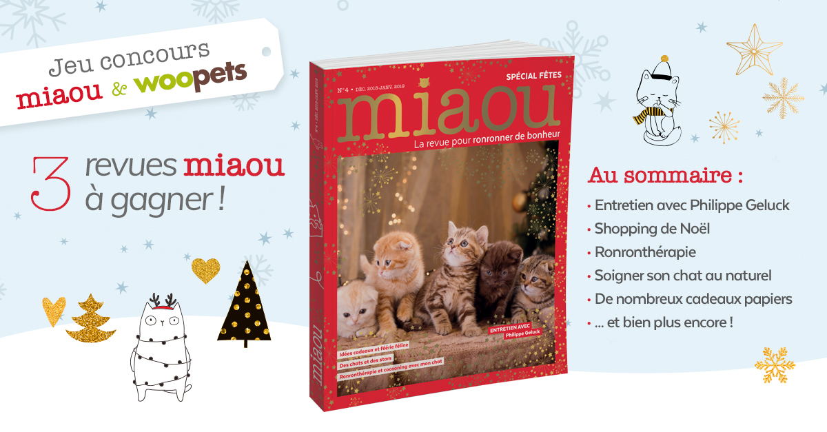 Jeu concours miaou du 13 au 27 novembre 2018