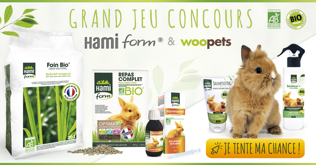 Jeu concours Hamiform du 18 février au 3 mars 2019