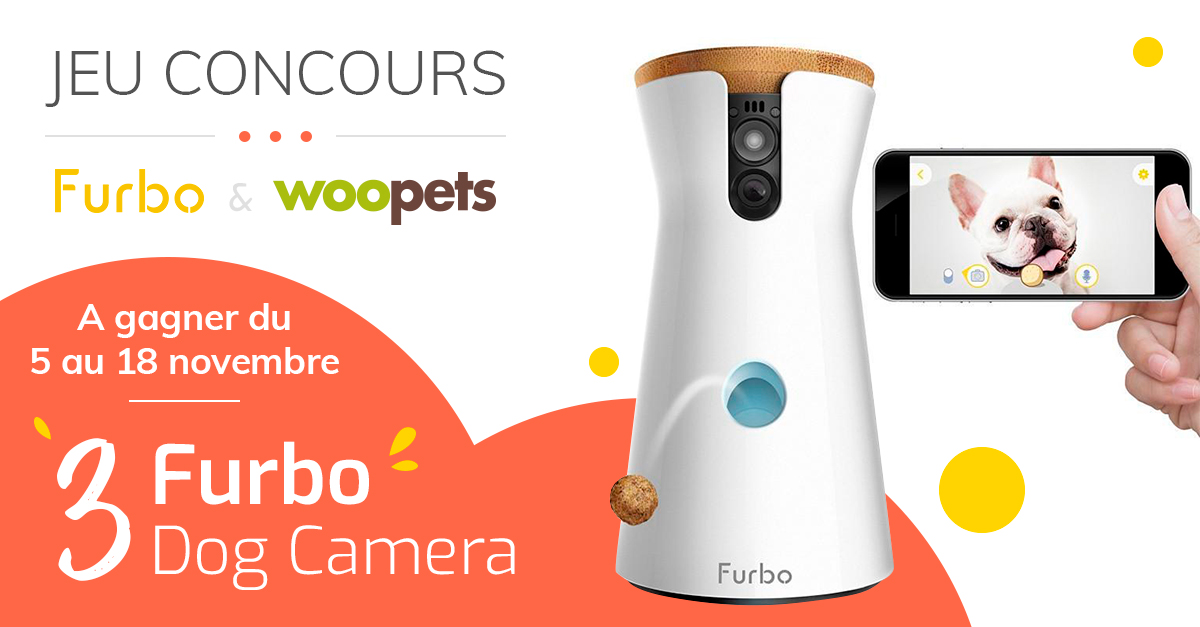 Jeu concours Furbo du 5 au 18 novembre 2018