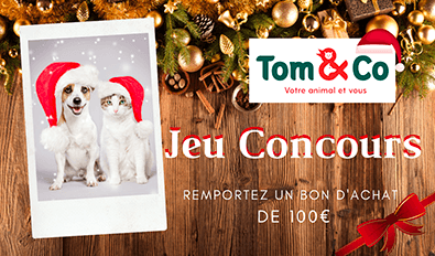 Illustration du jeu-concours Tom & Co