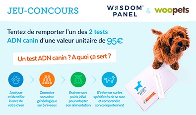 Illustration du jeu-concours Wisdom Panel