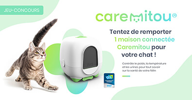 Illustration du jeu-concours Caremitou