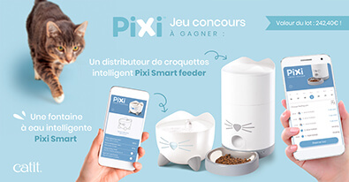 Illustration du jeu-concours Catit Pixi