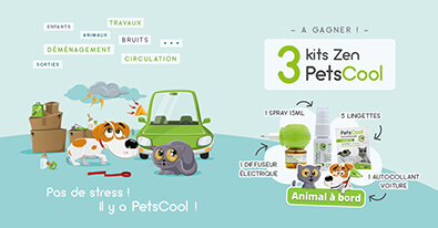 Illustration du jeu-concours PetsCool
