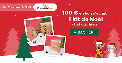 Illustration du jeu-concours Croquetteland