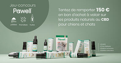 Illustration du jeu-concours Pawell