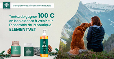 Illustration du jeu-concours ElementVET