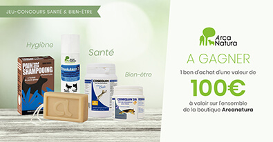Illustration du jeu-concours Arcanatura