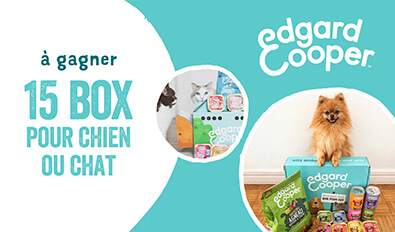 Illustration du jeu-concours Edgard & Cooper