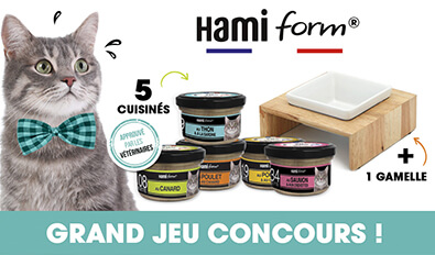 Illustration du jeu-concours Hamiform