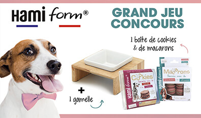 Illustration du jeu-concours Hamiform