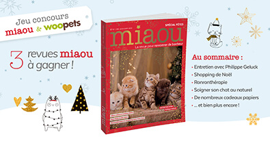 Illustration du jeu-concours Miaou