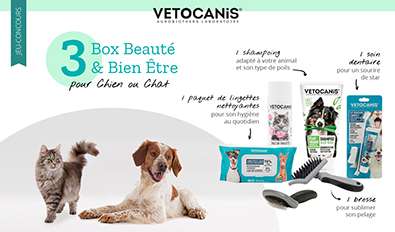 Illustration du jeu-concours Vetocanis