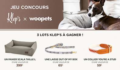 Illustration du jeu-concours Kleps