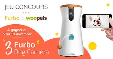 Illustration du jeu-concours Furbo