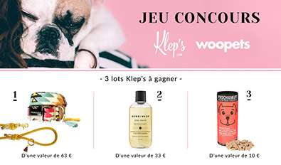 Illustration du jeu-concours Kleps