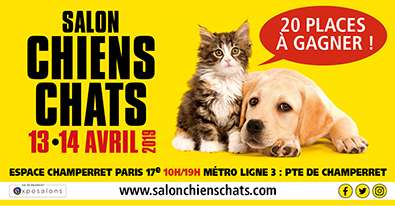 Illustration du jeu-concours Salon Chiens Chats