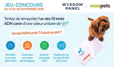 Illustration du jeu-concours Wisdom Panel